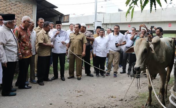 Idul Adha 1440 H, UMSU Kurban 46 Ekor Sapi